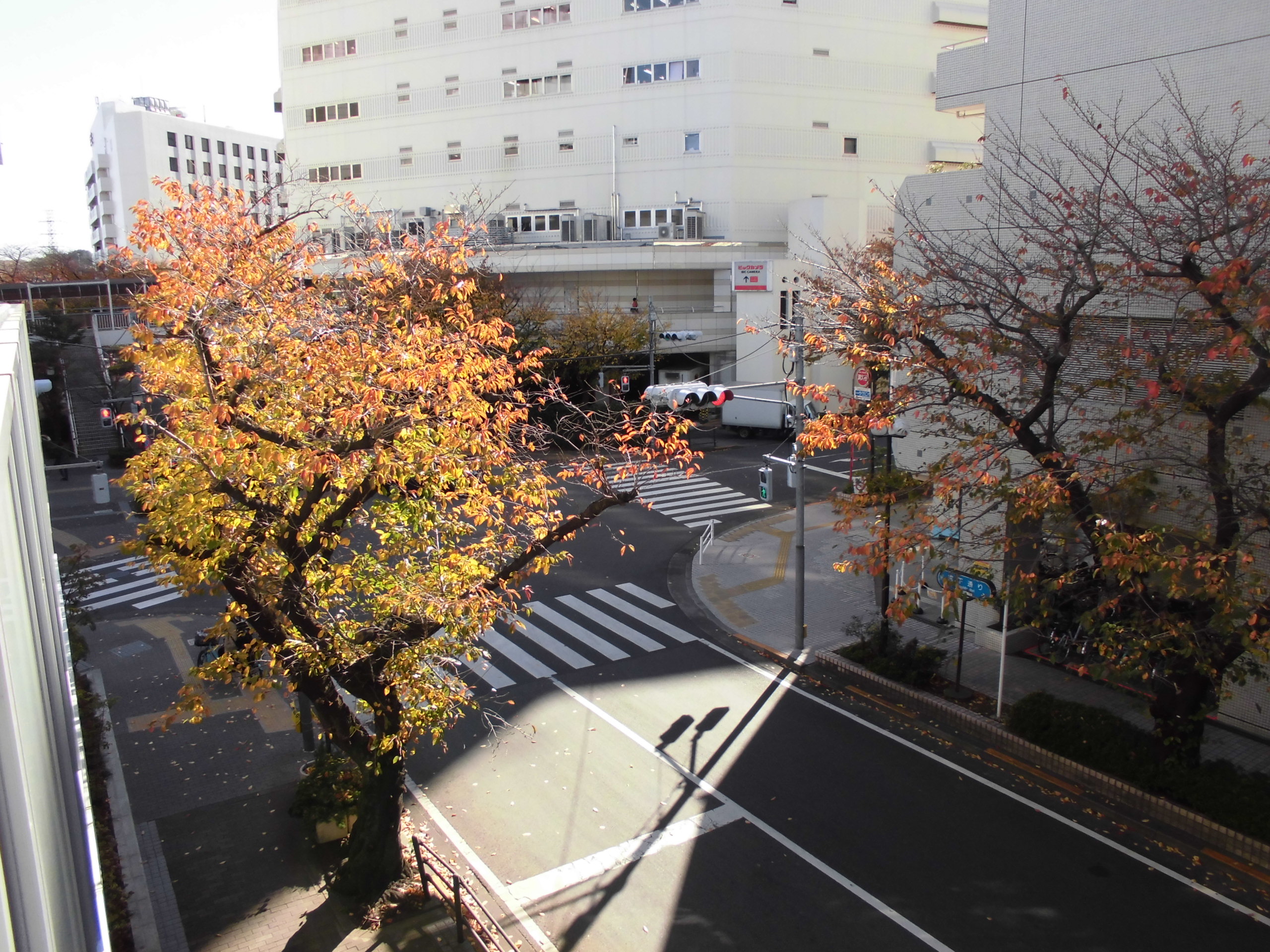 お知らせ 京王のサービス付き高齢者向け住宅 スマイラス 聖蹟桜ヶ丘